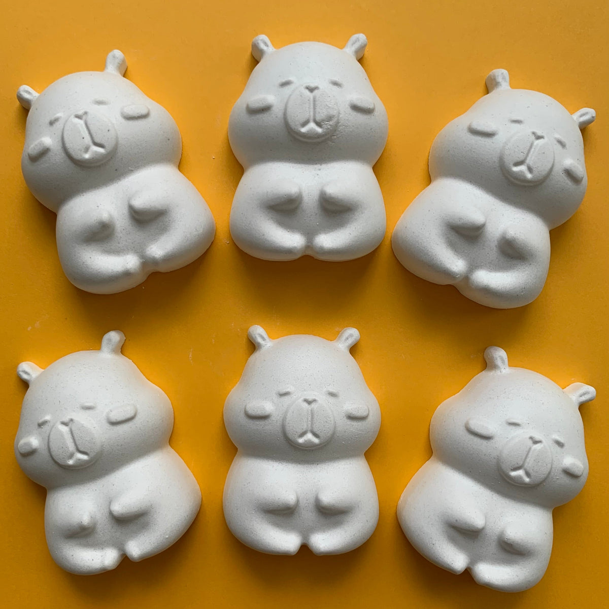 Capybara Kit