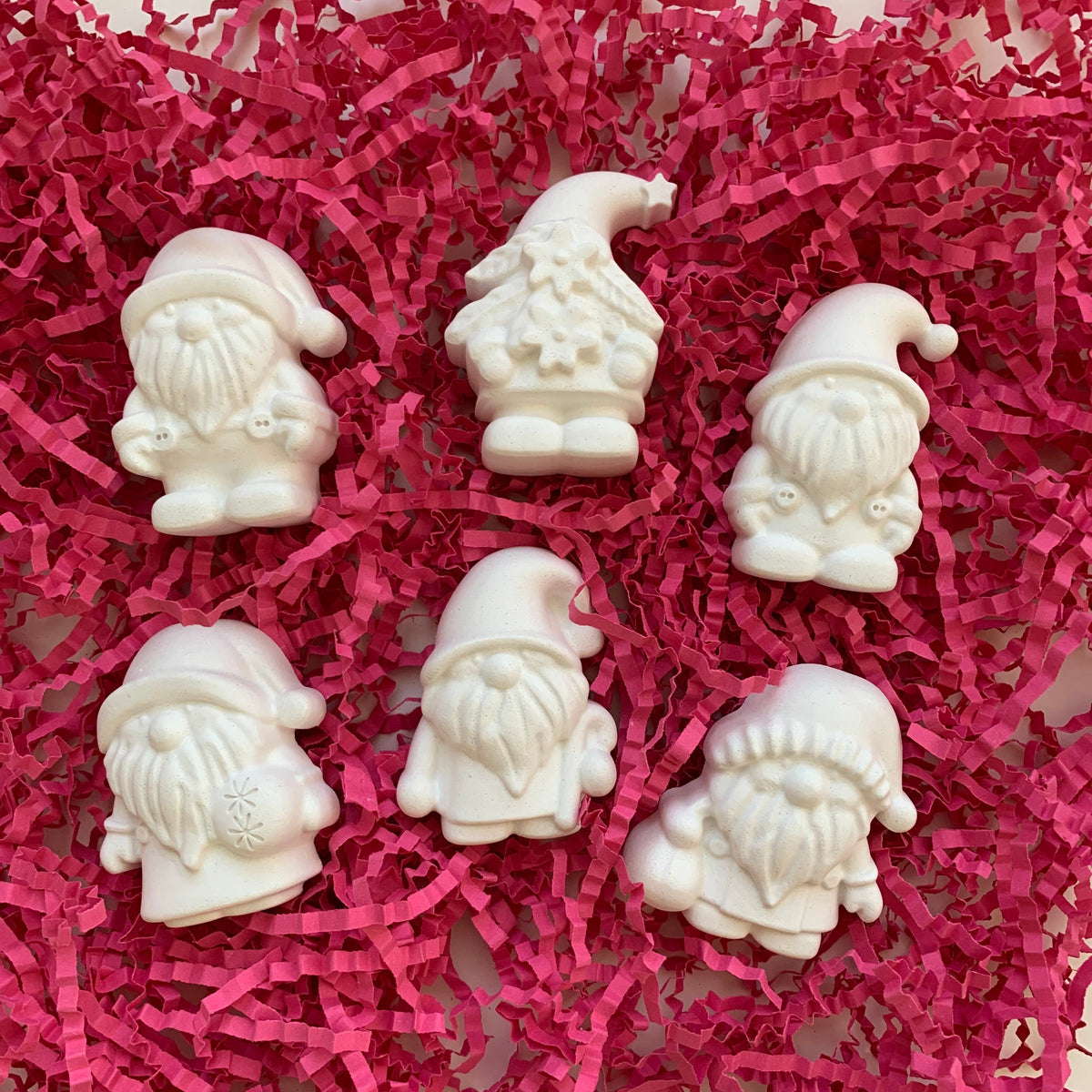 Mini Gnomes Kit