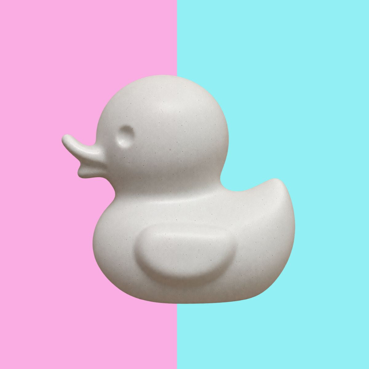 Baby Duck Kit