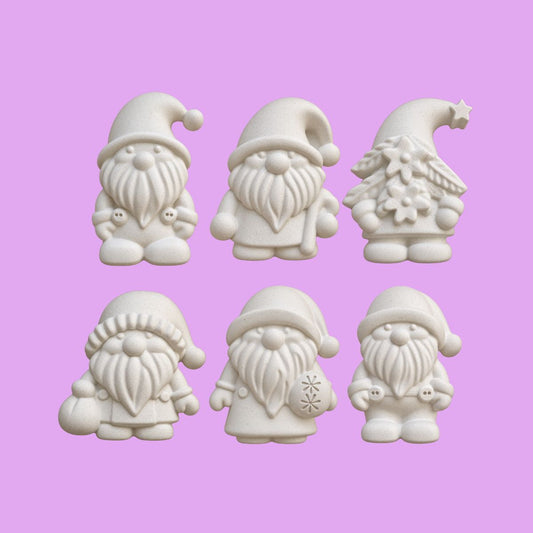 Mini Gnomes Kit