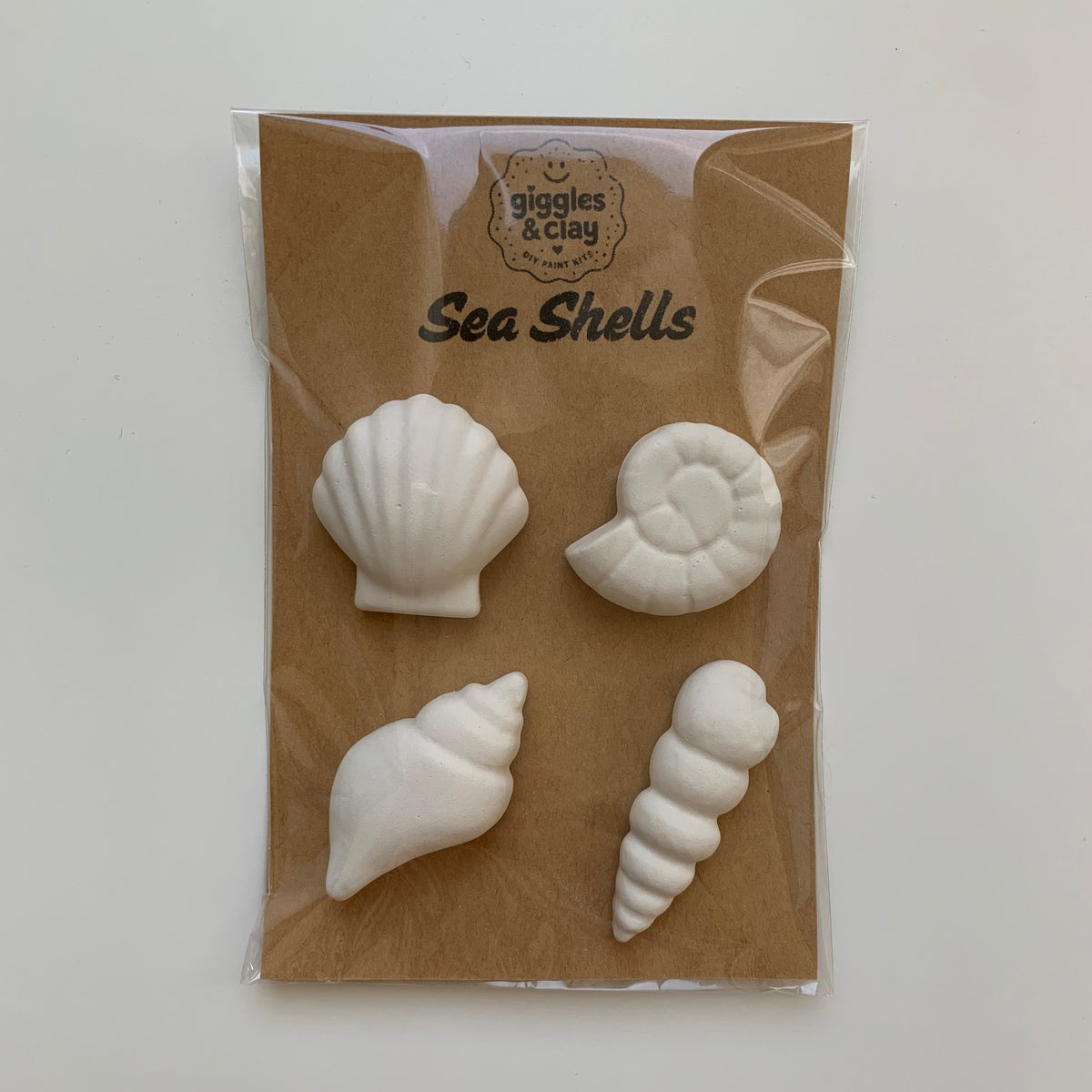 Sea Shells Magnet Kit
