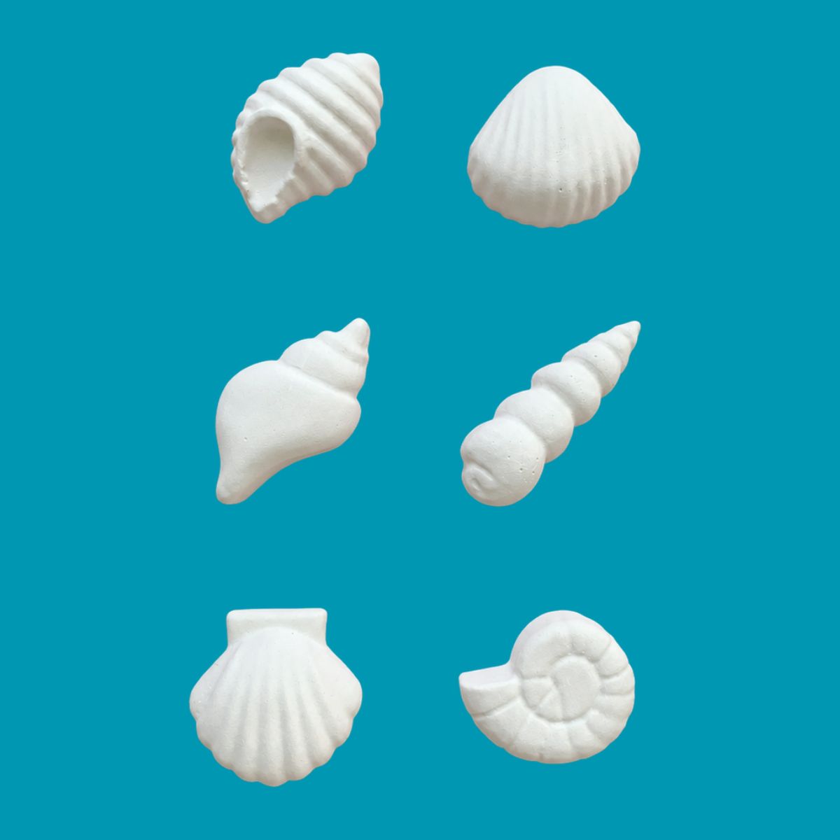 Sea Shells Magnet Kit