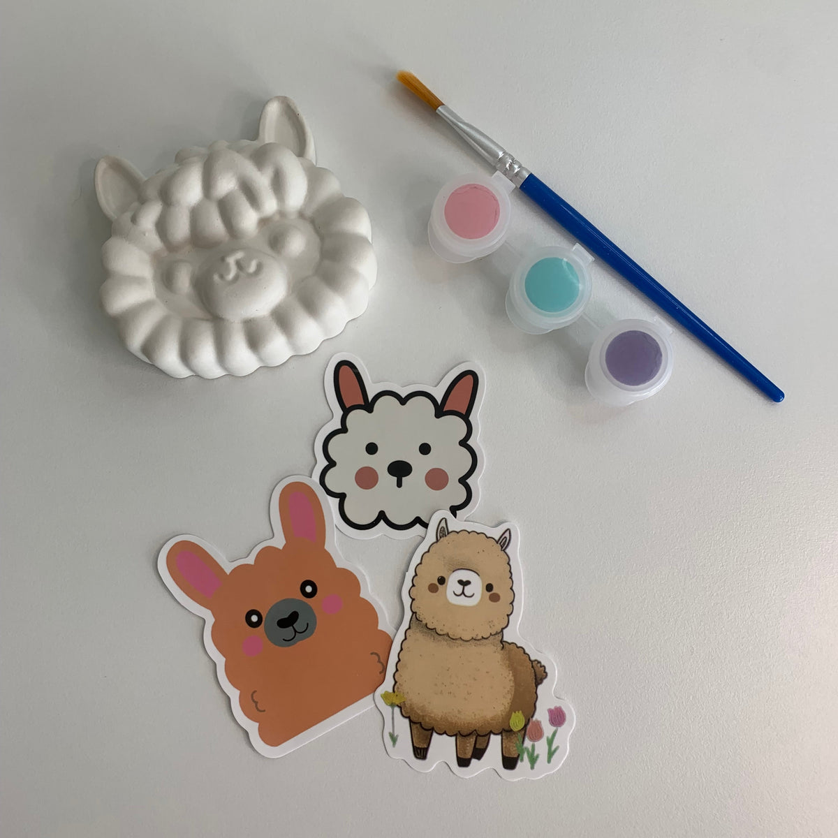 Alpaca Kit