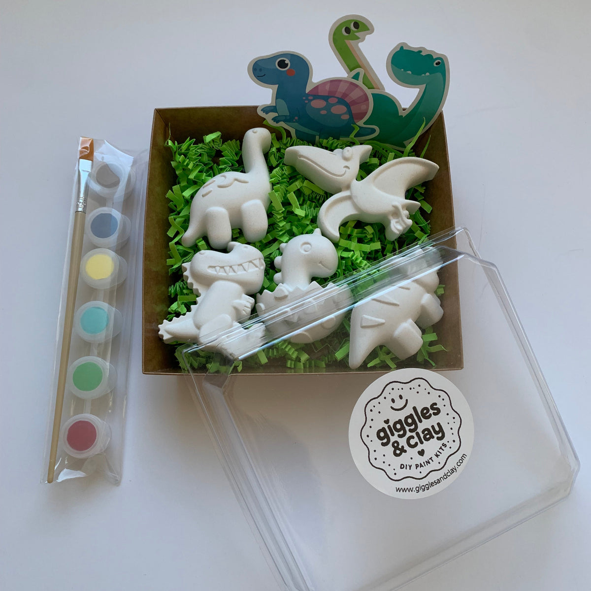 Mini Dinosaur Collection