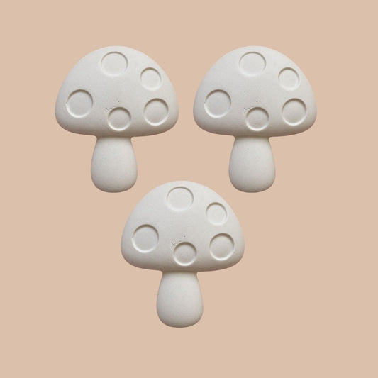 Mushrooms Magnet Kit