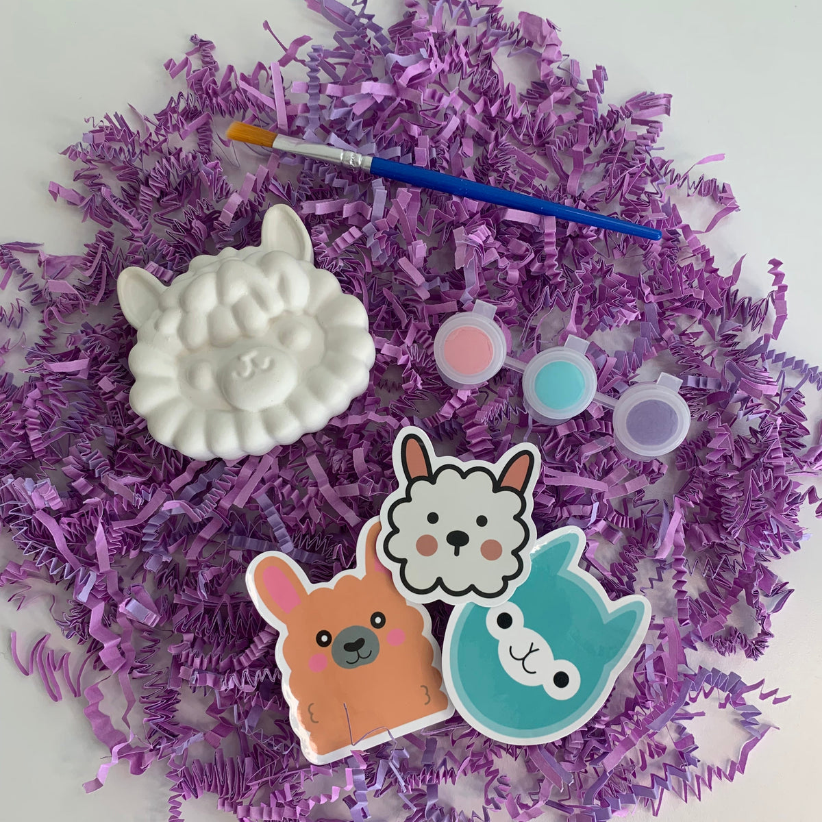 Alpaca Kit